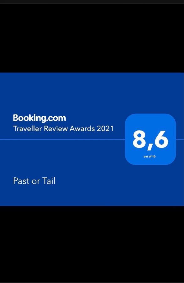 Past Or Tail Hostel Λάρνακα Εξωτερικό φωτογραφία